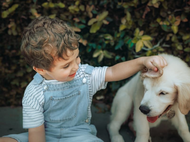 Young boy petting a golden retriever puppy outdoors